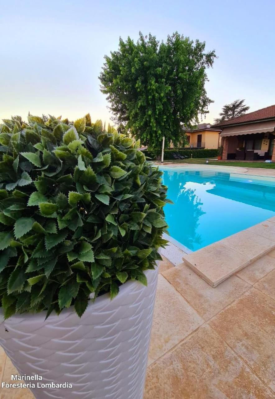 Marinella B&B Cornale Luaran gambar