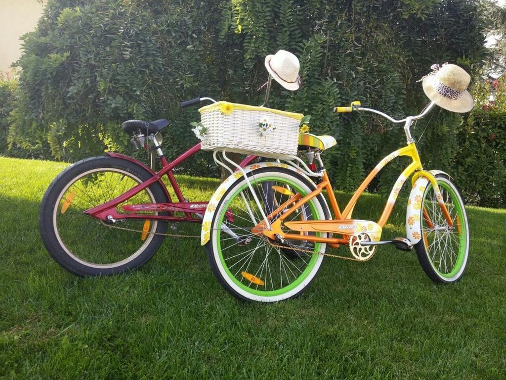 Marinella B&B Cornale Luaran gambar