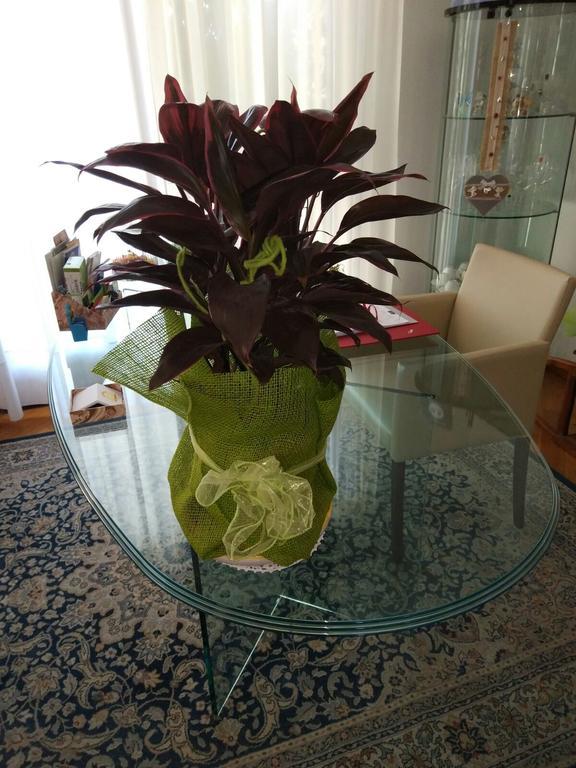 Marinella B&B Cornale Luaran gambar