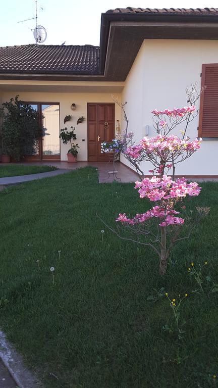 Marinella B&B Cornale Luaran gambar